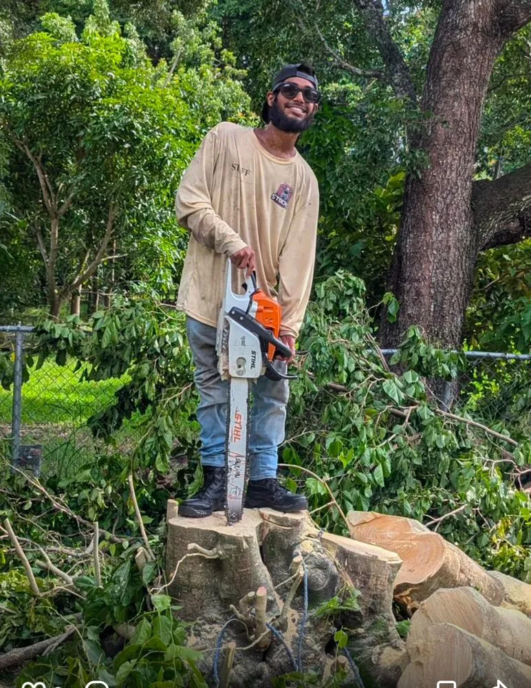 Trusted residential landscaping for beautiful yards in North Lauderdale, FL by Stocks Holdings