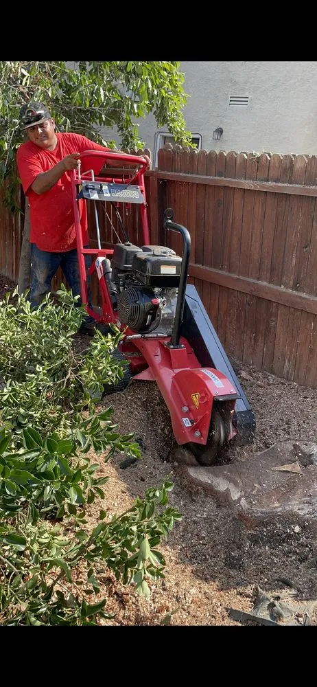 Local outdoor landscaping for residential properties in Stockton, CA by Stockt One General Landscape