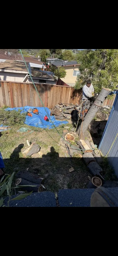 Expert yard maintenance for homes across Stockton, CA - Stockt One General Landscape