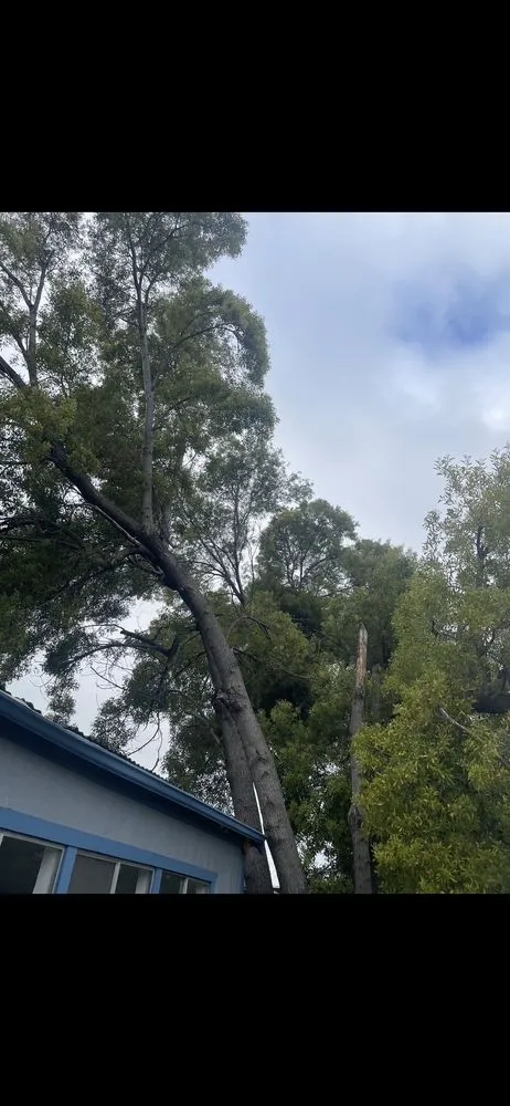 Top-rated landscape installation experts serving Stockton, CA - Stockt One General Landscape