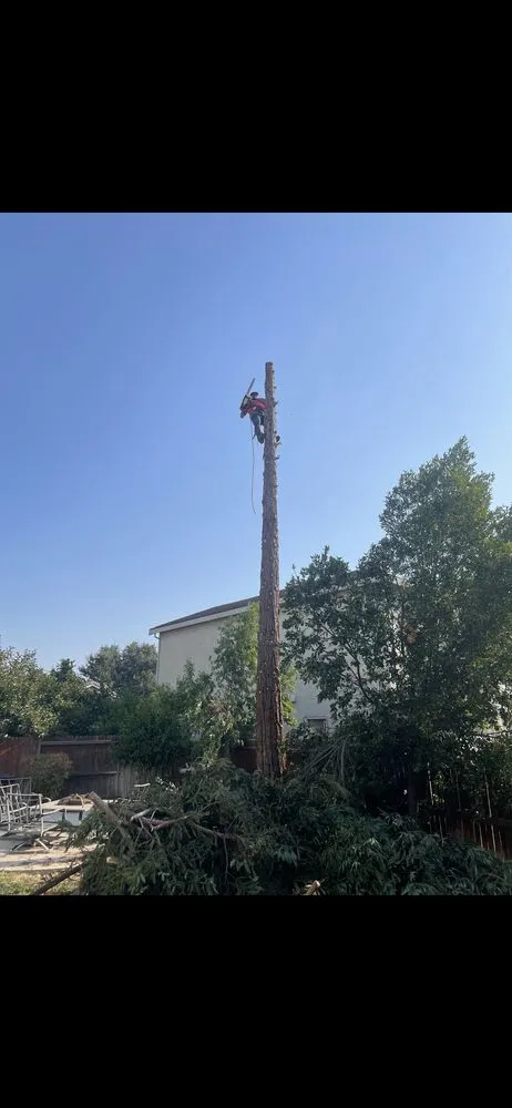 Top-rated garden landscaping for homes in Stockton, CA by Stockt One General Landscape