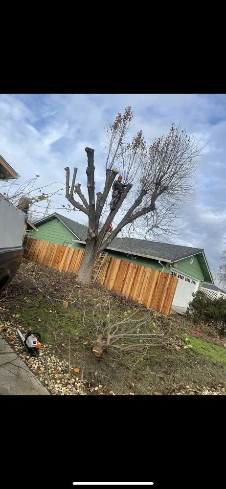 Professional residential landscaping for year-round maintenance across Stockton, CA - Stockt One General Landscape