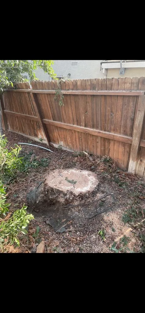 Professional yard maintenance for residential properties across Stockton, CA - Stockt One General Landscape