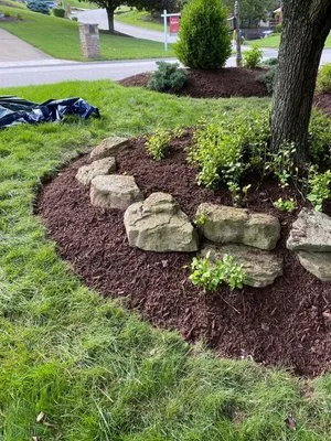 Stoehr’s Hydroseeding