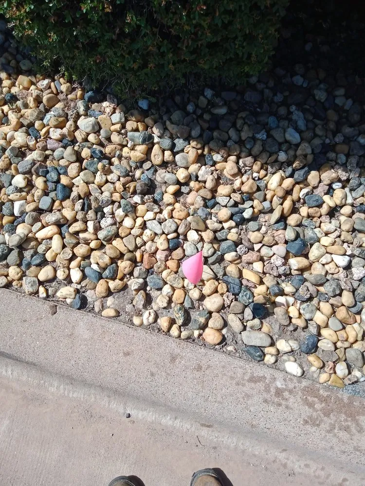 Custom landscaping services in Abilene, TX - Stokely Removal Services