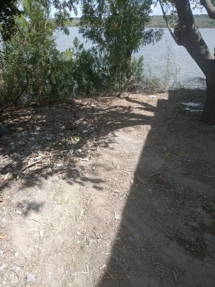 Expert landscape installation for year-round maintenance across Abilene, TX - Stokely Removal Services