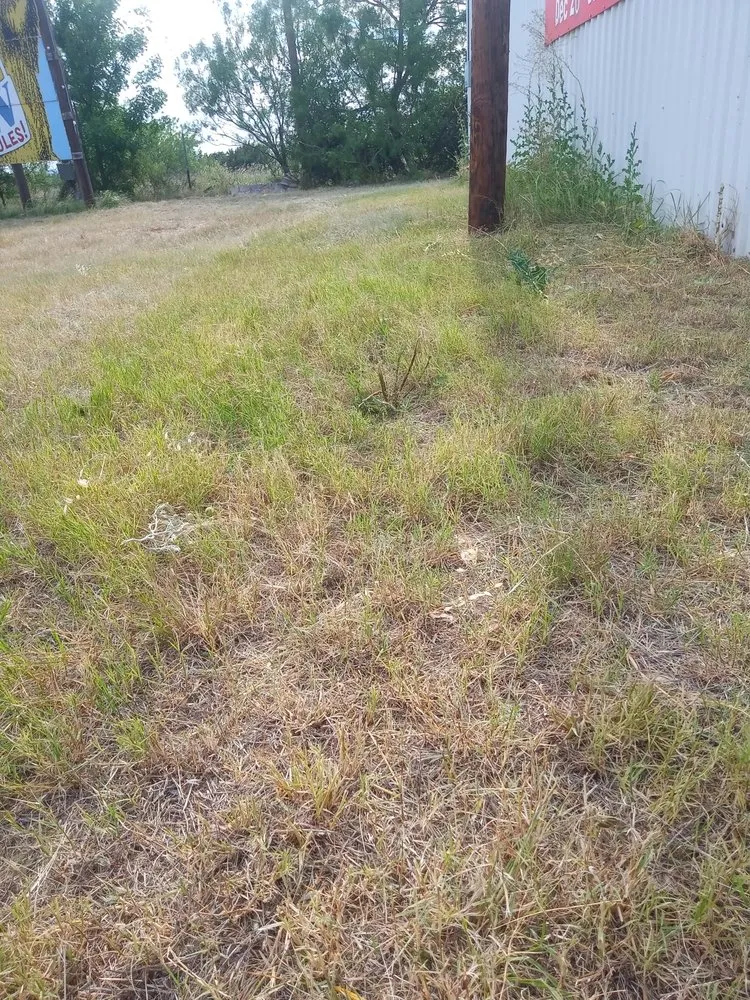 Reliable lawn care service in Abilene, TX - Stokely Removal Services