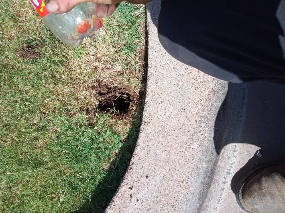 Expert lawn care service in Abilene, TX by Stokely Removal Services