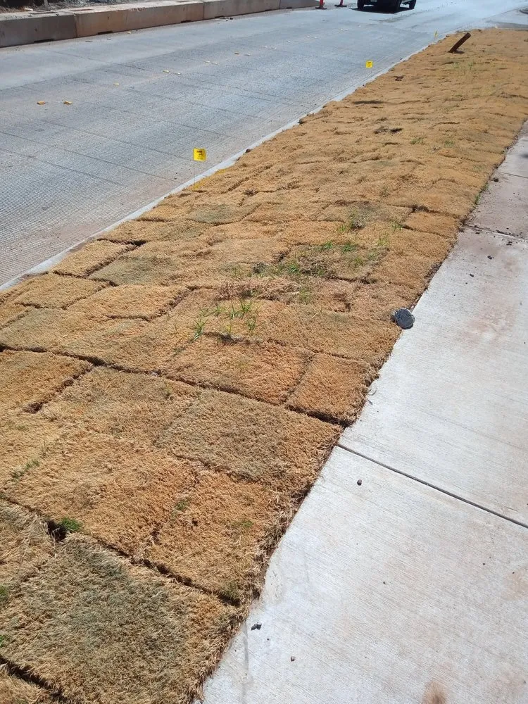 Top-rated landscaping services in Abilene, TX by Stokely Removal Services