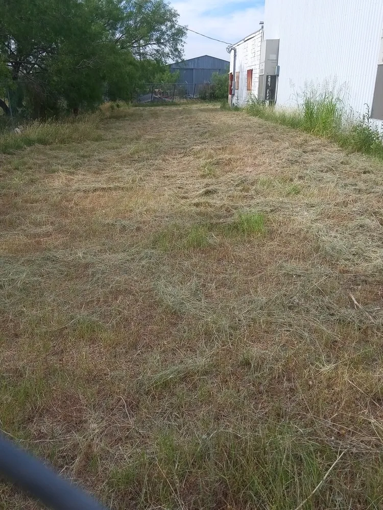 Professional lawn mowing service in Abilene, TX by Stokely Removal Services