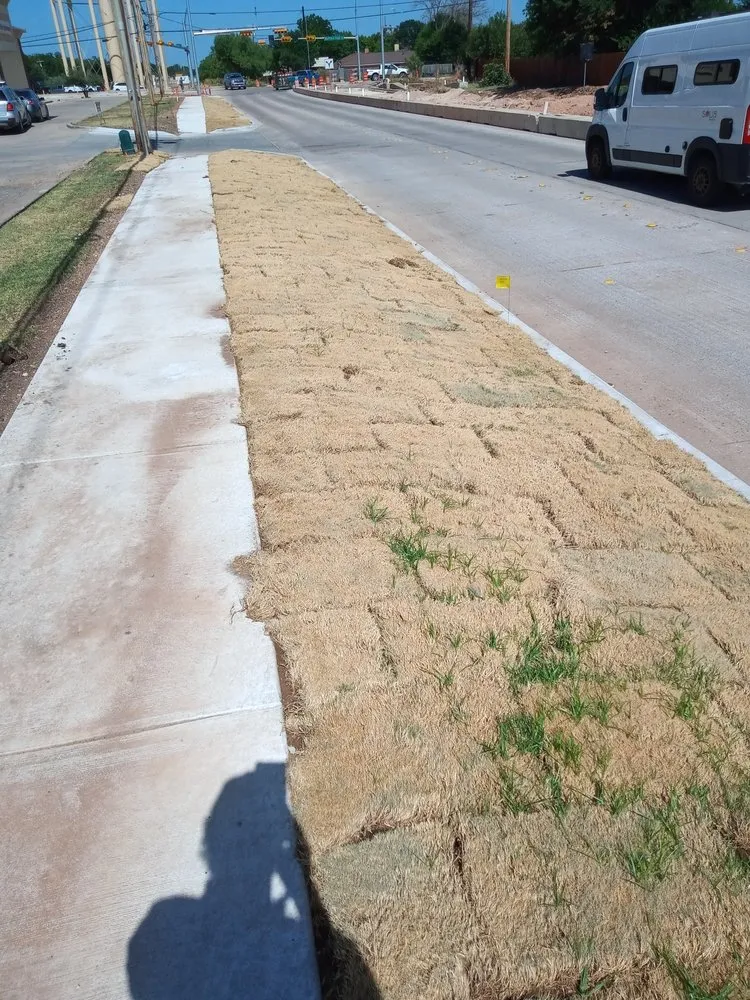 Expert landscape design in Abilene, TX by Stokely Removal Services