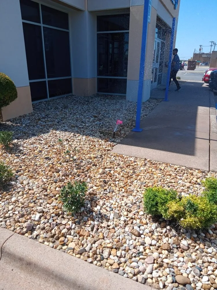 Custom lawn care service experts serving Abilene, TX - Stokely Removal Services