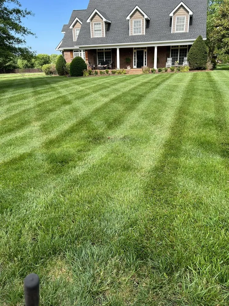 Reliable landscape installation experts serving Goose Creek, SC - Stokes Lawn Services