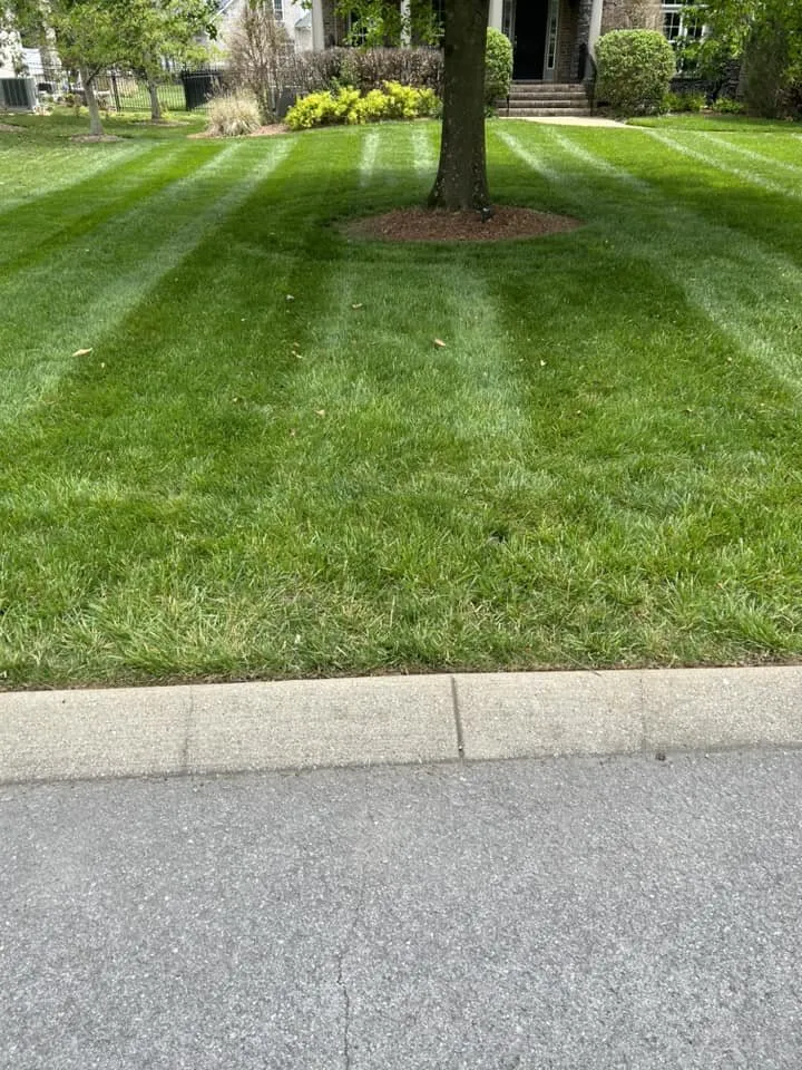 Affordable yard maintenance for beautiful yards in Goose Creek, SC by Stokes Lawn Services