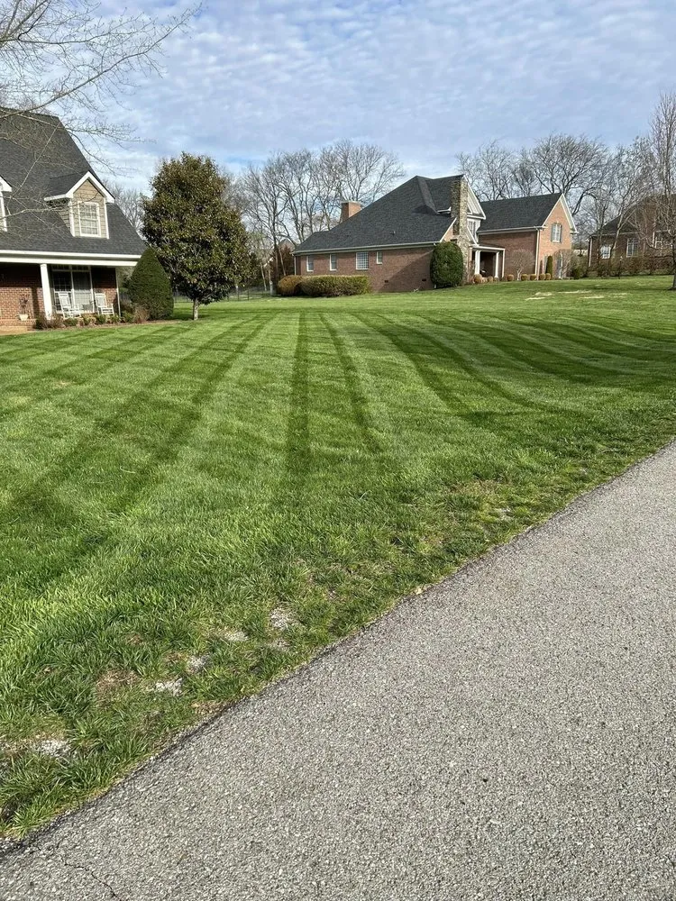 Custom landscape installation experts serving Goose Creek, SC - Stokes Lawn Services