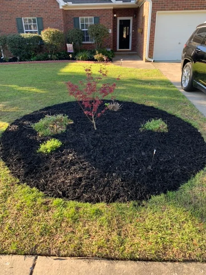 Professional landscape design in Goose Creek, SC by Stokes Lawn Services