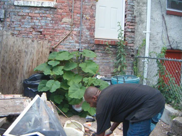 Trusted landscaping services in Baltimore, MD - Stokes Multi Task Contracting Services