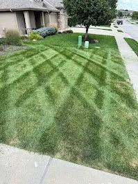 Trusted landscaping services for beautiful yards across La Vista, NE - Stolberg Landscaping