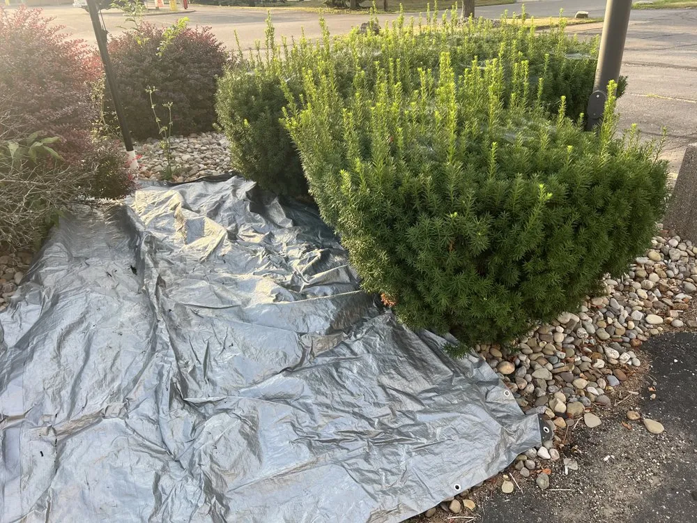 Affordable lawn care service with custom design across Dover, OH - Stoll’s landscaping