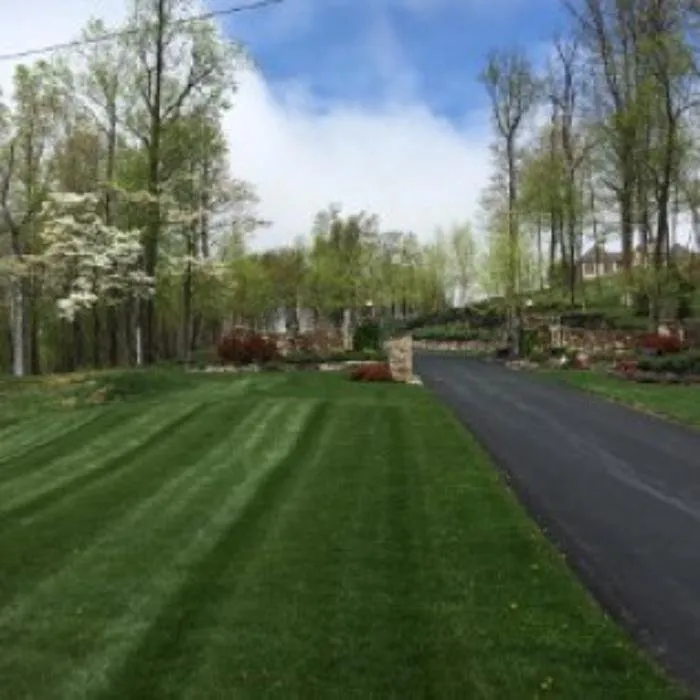 Trusted landscape design experts serving Sharon Springs, NY - Stoltz Creations