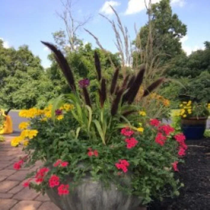 Reliable garden landscaping in Sharon Springs, NY by Stoltz Creations