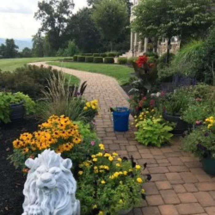 Local yard cleanup service experts serving Sharon Springs, NY - Stoltz Creations