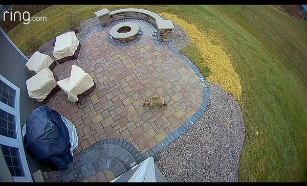 Stone & Paver Outdoor Living Logo