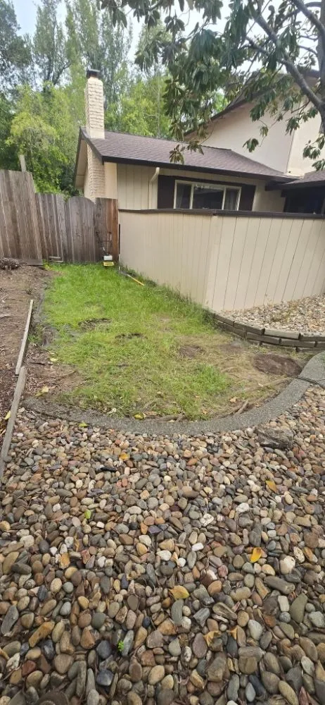 Reliable yard cleanup service in Napa, CA - Stone & Soil Landscaping