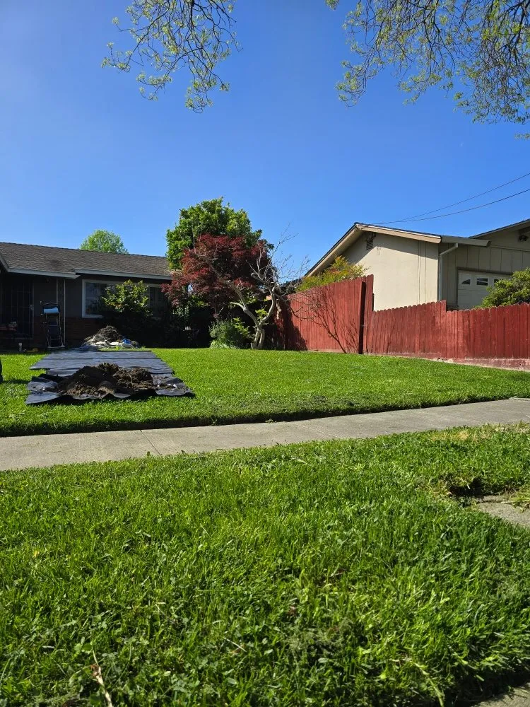 Expert landscape design in Napa, CA - Stone & Soil Landscaping