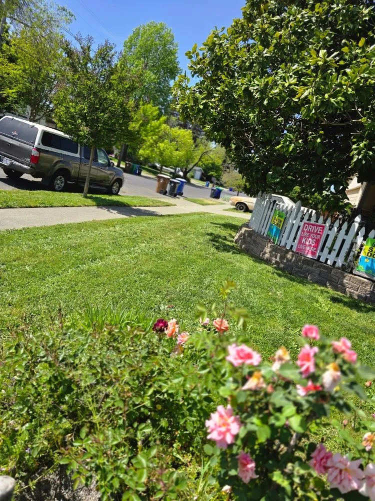 Trusted garden landscaping for beautiful yards across Napa, CA - Stone & Soil Landscaping