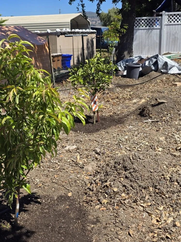 Reliable landscape design for residential properties in Napa, CA by Stone & Soil Landscaping