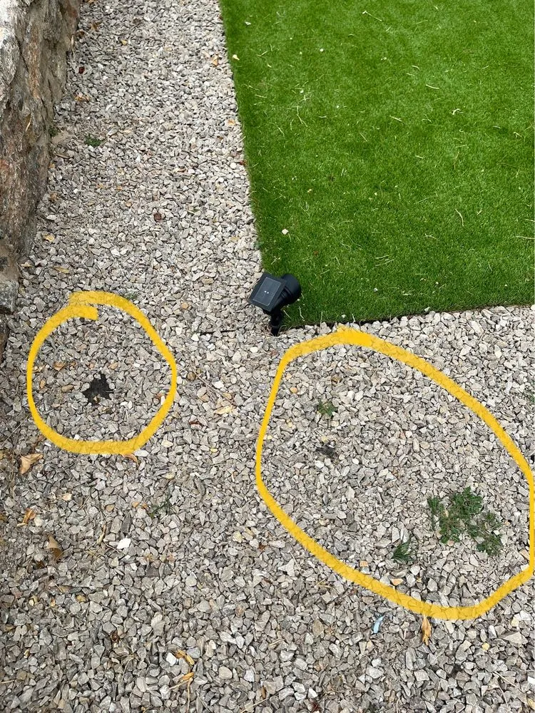 Affordable outdoor landscaping for residential properties in Socorro, TX by Stone & Steel