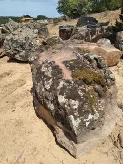 Reliable yard cleanup service for outdoor upgrades in Frisco, TX by Stone Center of Texas