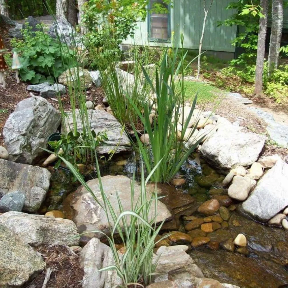 Trusted lawn mowing service in Pisgah Forest, NC by Stone Crazy Garden