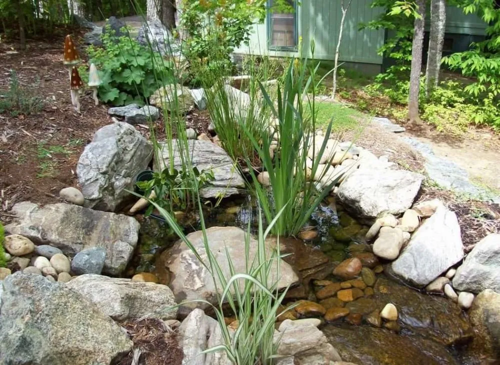 Top-rated yard cleanup service experts serving Pisgah Forest, NC - Stone Crazy Garden