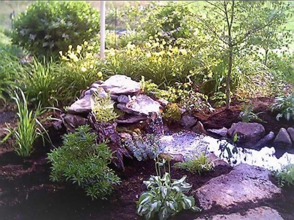 Top-rated yard cleanup service experts serving Pisgah Forest, NC - Stone Crazy Garden