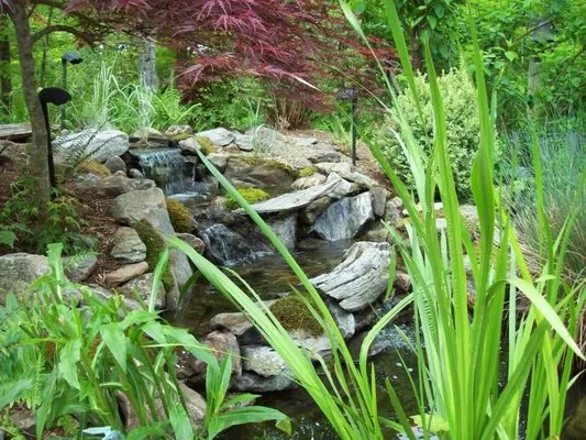 Stone Crazy Garden