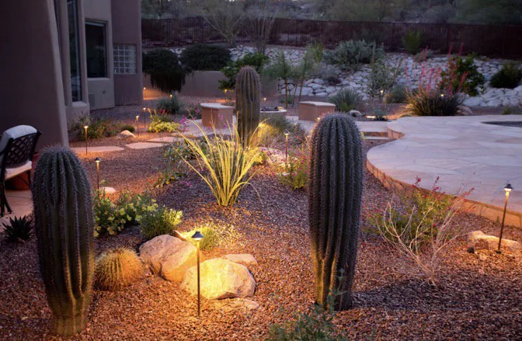 Expert garden landscaping for year-round maintenance across Waddell, AZ - Stone Creek Landscaping & Design
