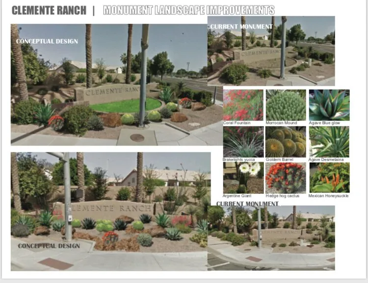 Custom landscape design in Waddell, AZ by Stone Creek Landscaping & Design