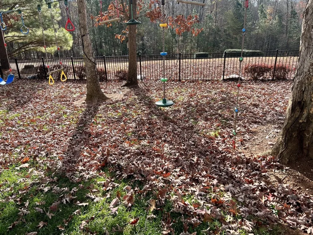 Local yard cleanup service with custom design across Apex, NC - Stone Creek Landscaping