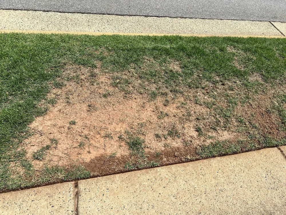 Expert garden landscaping in Apex, NC - Stone Creek Landscaping