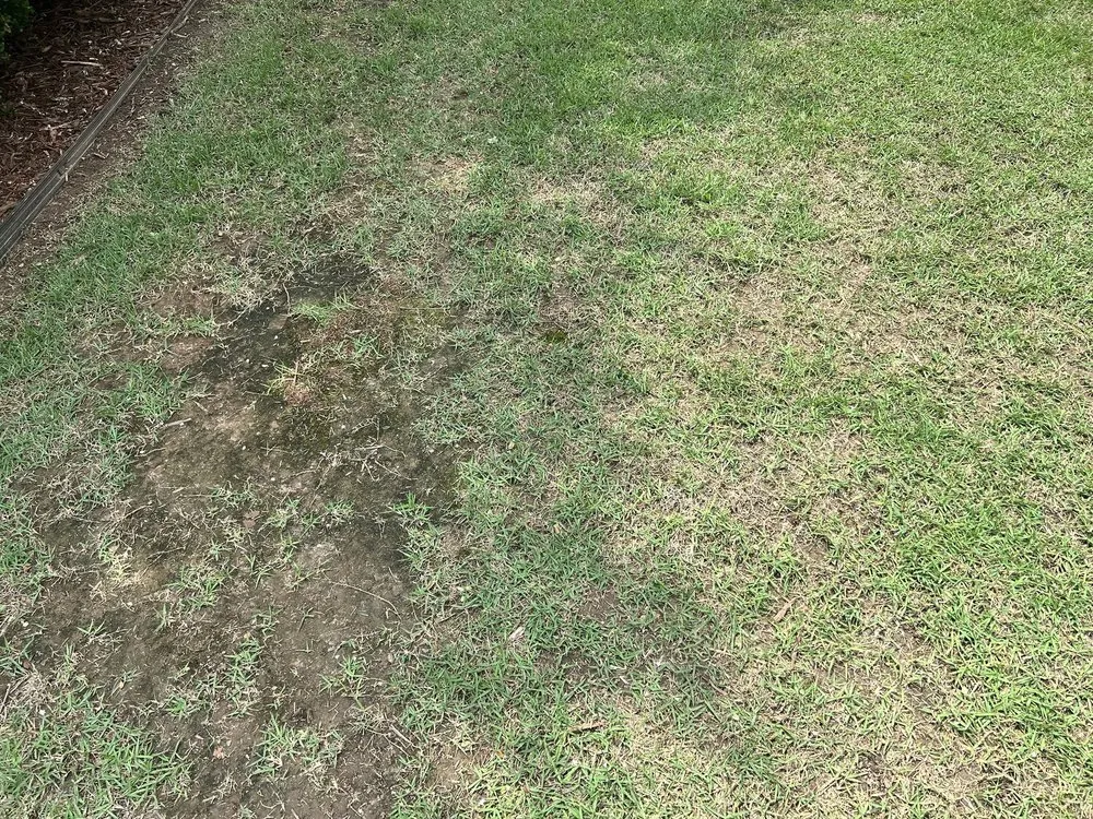 Local lawn care service for residential properties in Apex, NC by Stone Creek Landscaping