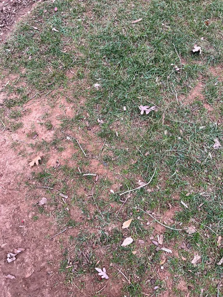 Trusted lawn mowing service in Apex, NC by Stone Creek Landscaping