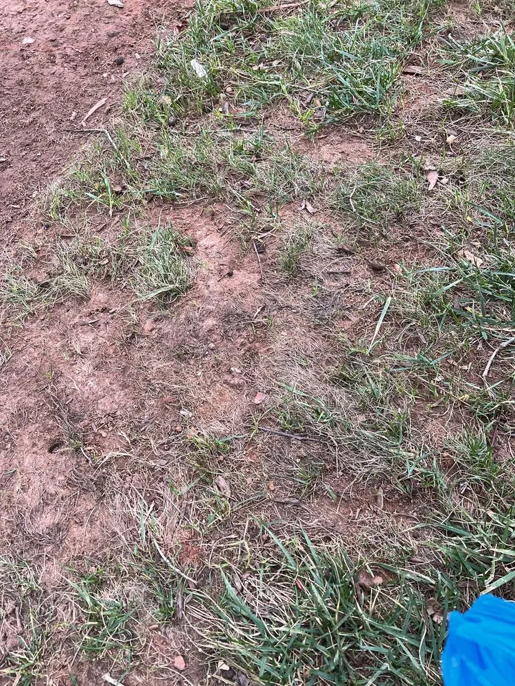 Affordable outdoor landscaping experts serving Apex, NC - Stone Creek Landscaping