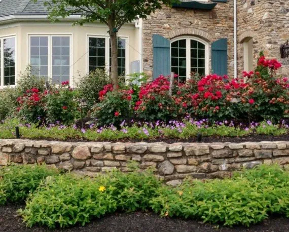Affordable residential landscaping for outdoor upgrades across El Paso, TX - Stone Cultz