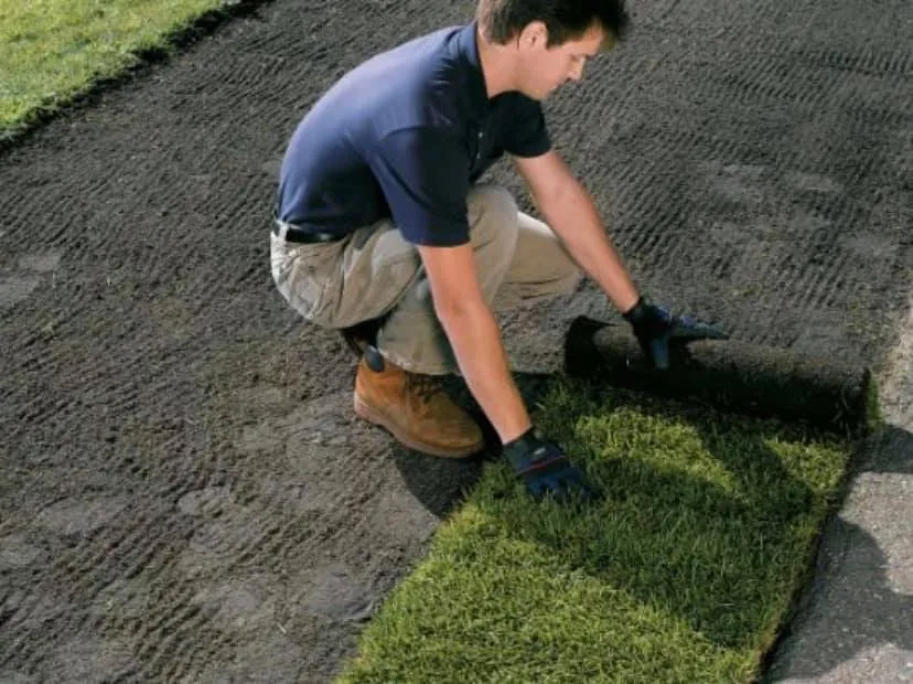 Reliable outdoor landscaping in Panama City, FL by Stone Earth Works