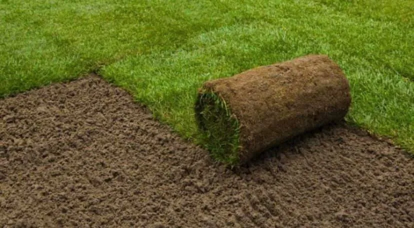 Top-rated lawn care service in Panama City, FL by Stone Earth Works