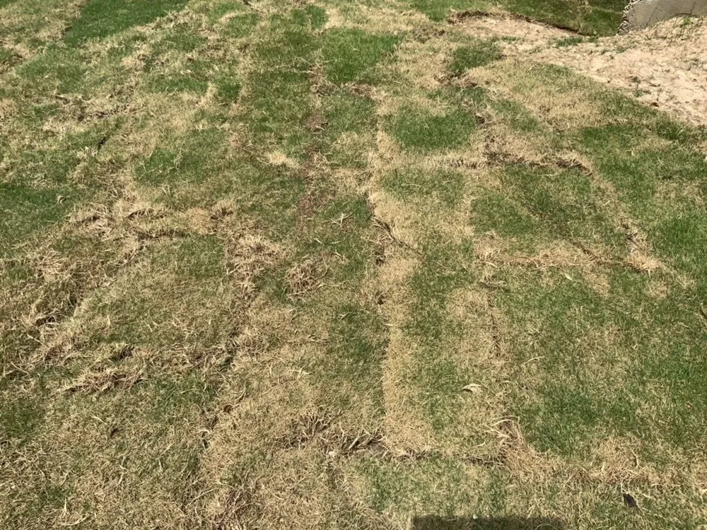 Local landscape installation for year-round maintenance in Dallas, GA by Stone Edge Landscapes