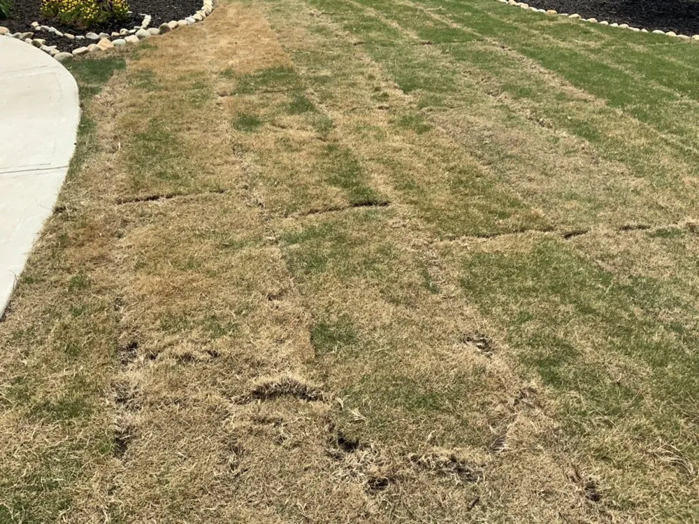 Affordable residential landscaping experts serving Dallas, GA - Stone Edge Landscapes