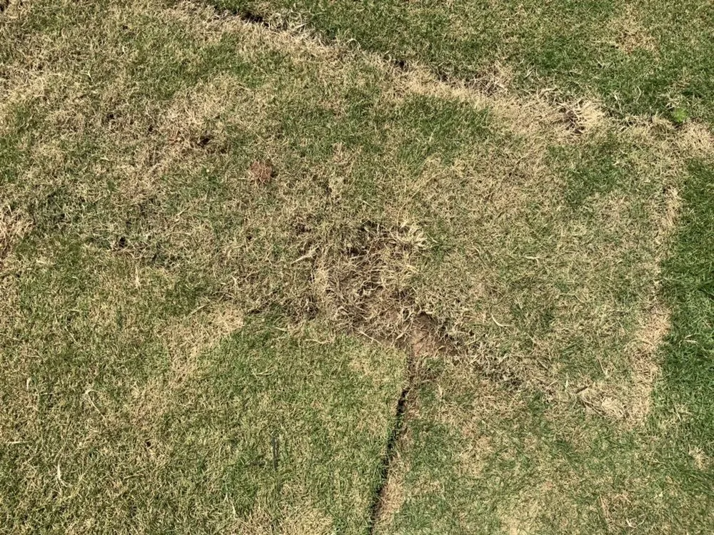 Reliable landscape design experts serving Dallas, GA - Stone Edge Landscapes